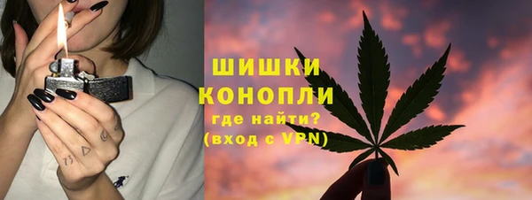 прущие крисы Вяземский
