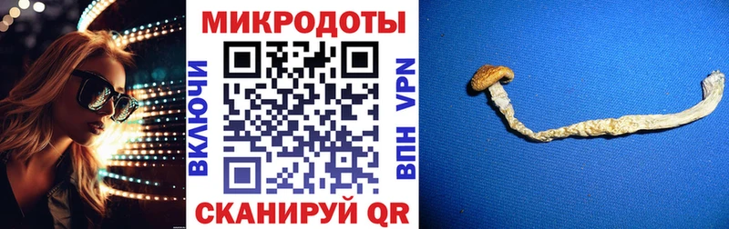 Купить закладки  Белозерск  Галлюциногенные грибы прущие грибы 
